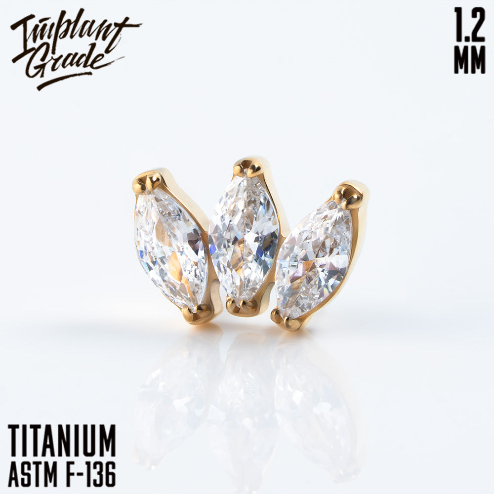 Marquise vol. 2 Cluster 1.2