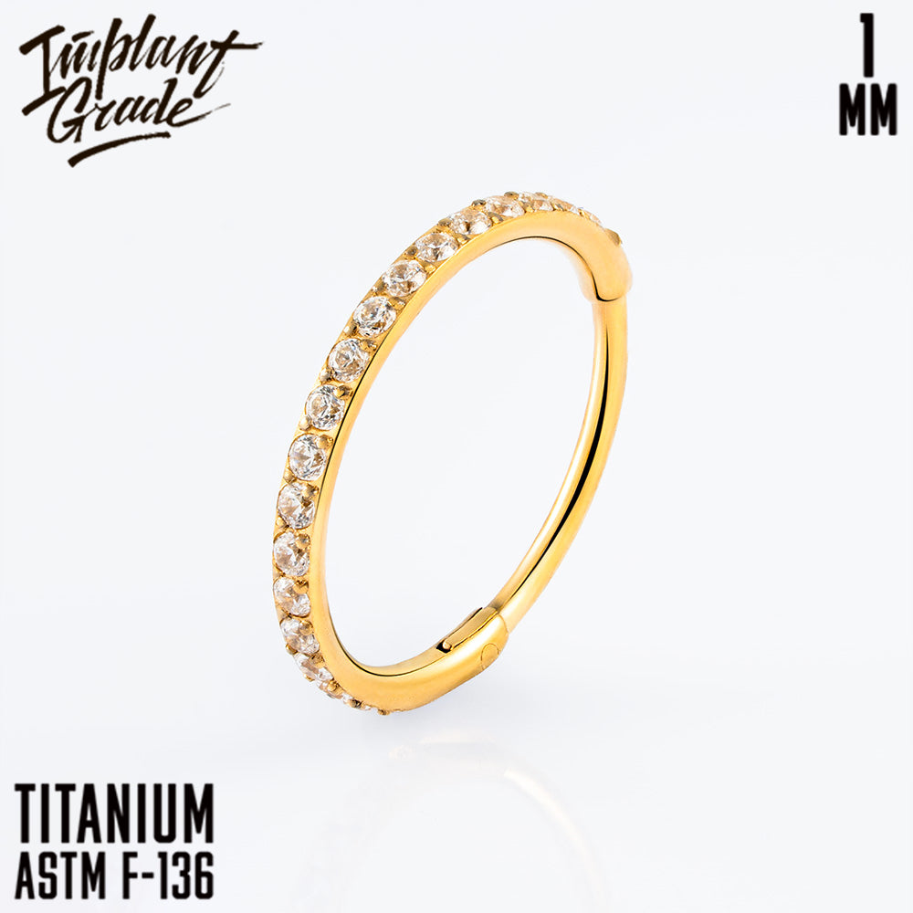 Insight Hinged Segment Ring 1 (18 G)