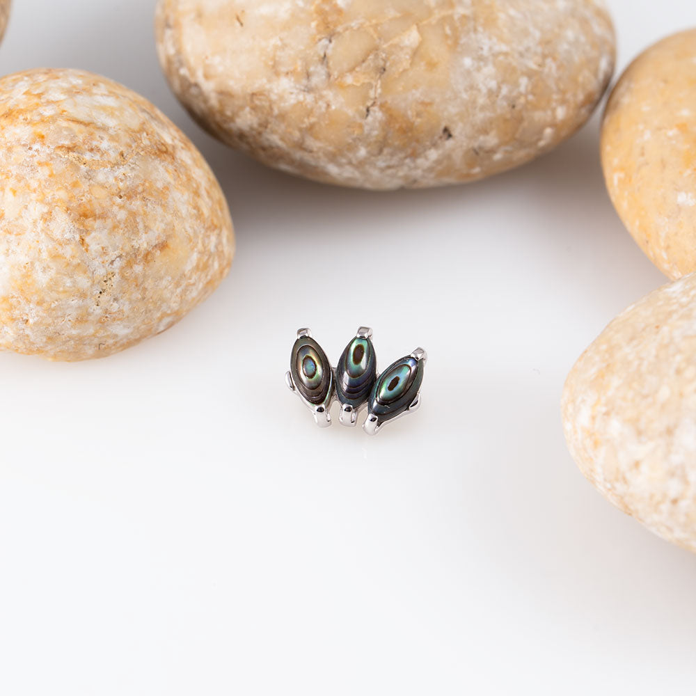 Marquise vol.2 Abalone Shell Cluster 1.2