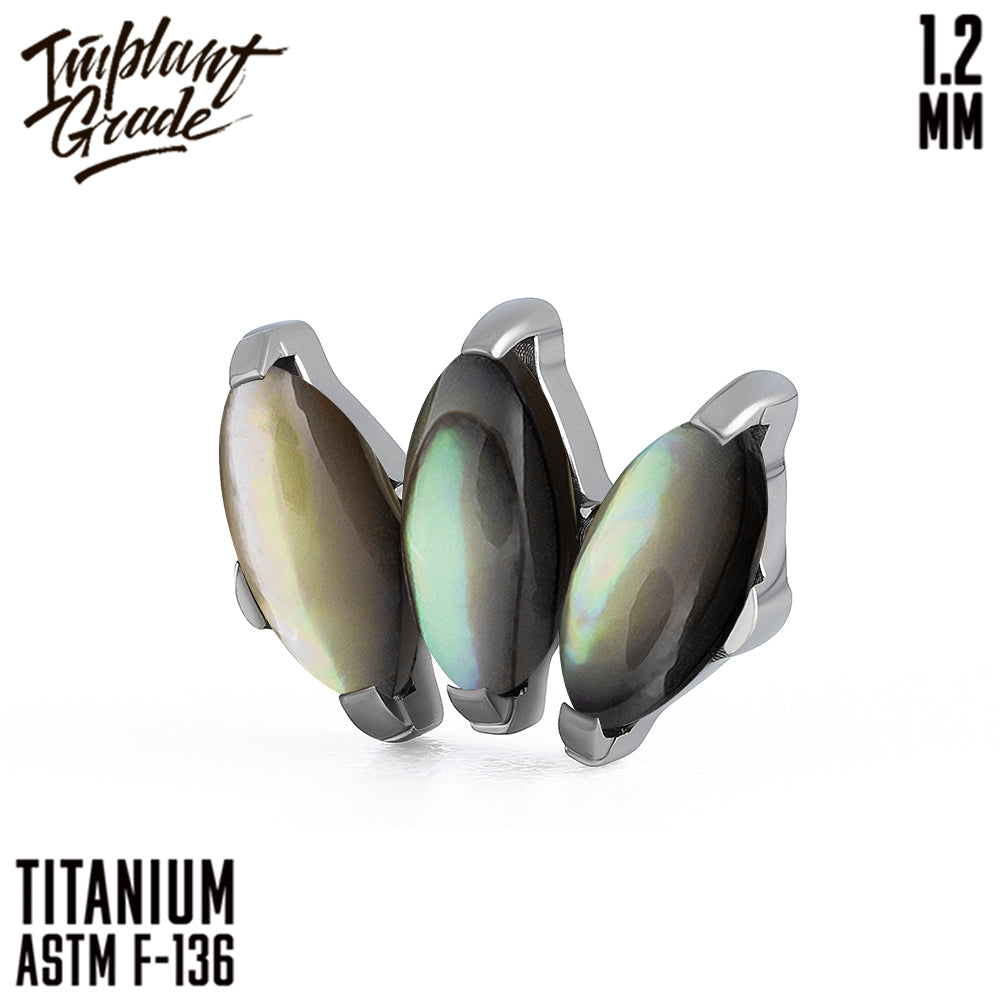 Marquise vol.2 Abalone Shell Cluster 1.2