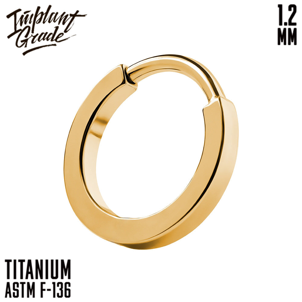 Model Hinged Segment Ring 1.2 (16 G)