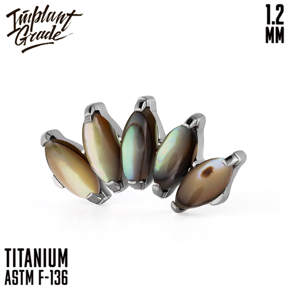 5 Stones Marquise Abalone Shell Cluster 1.2