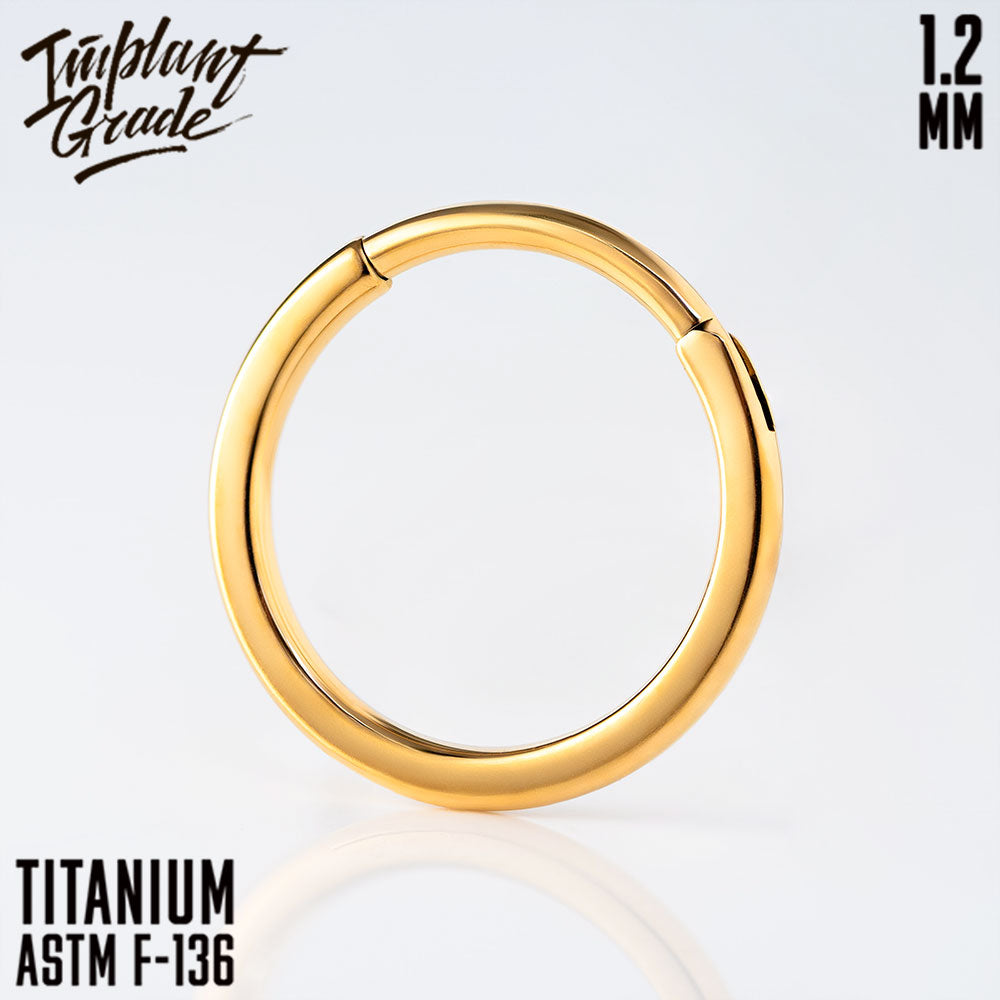 Flat Hinged Segment Ring 1.2 (16 G)