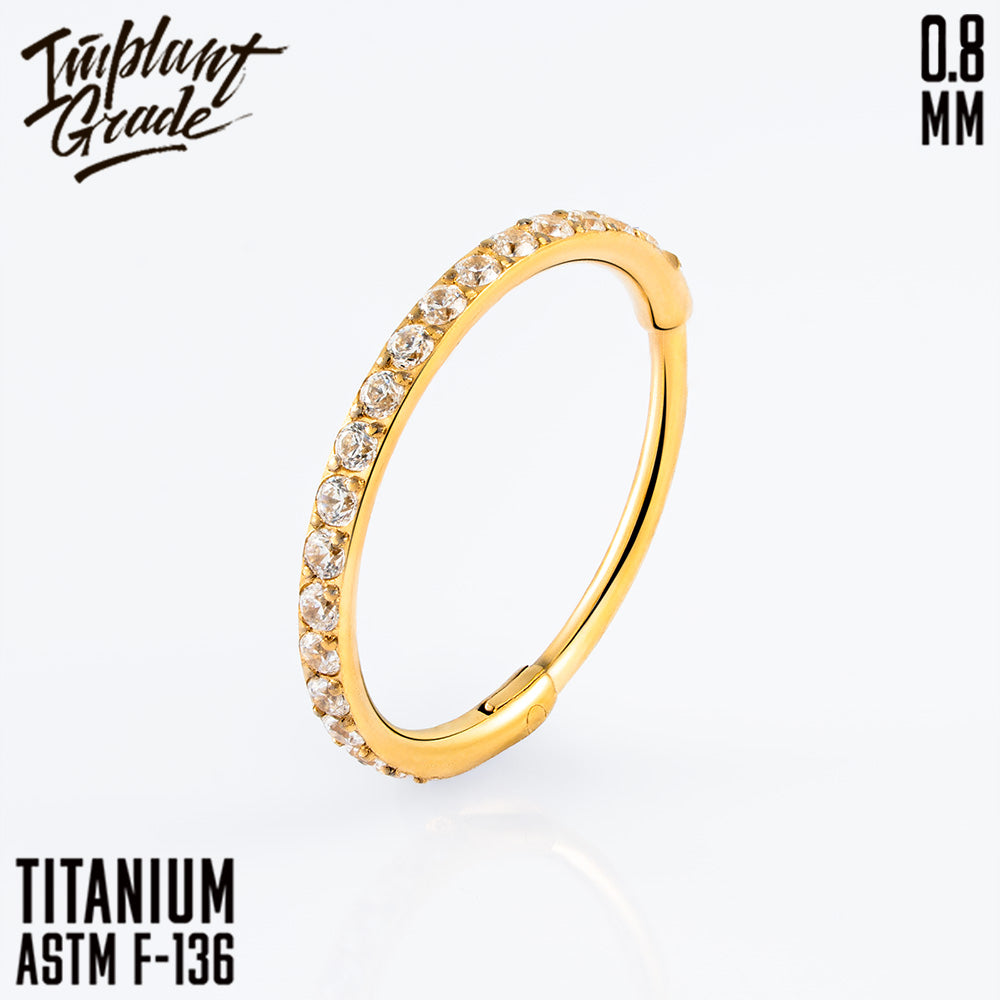 Insight Hinged Segment Ring 0.8 (20 G)