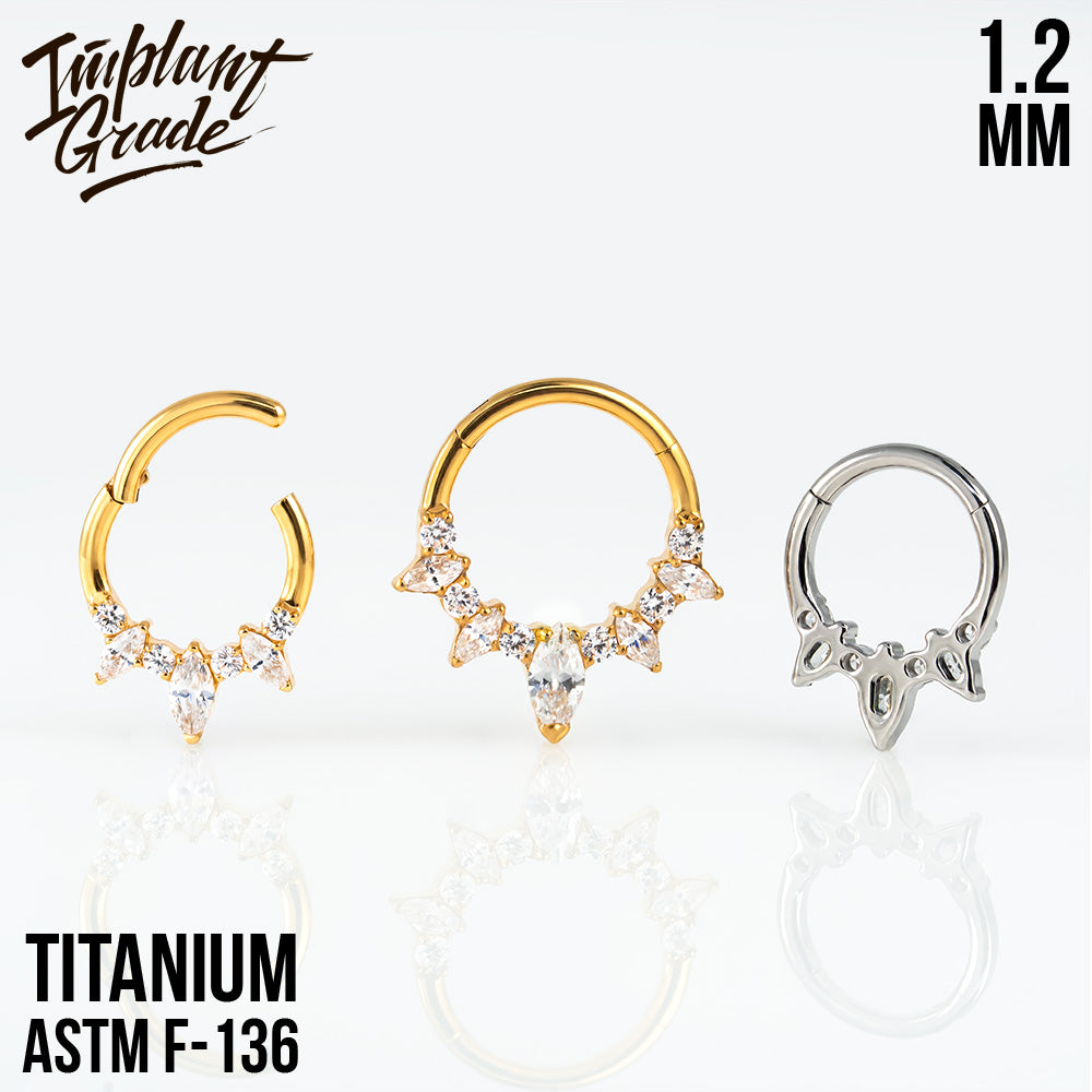 Evelyn Hinged Segment Ring 1.2 (16 G)