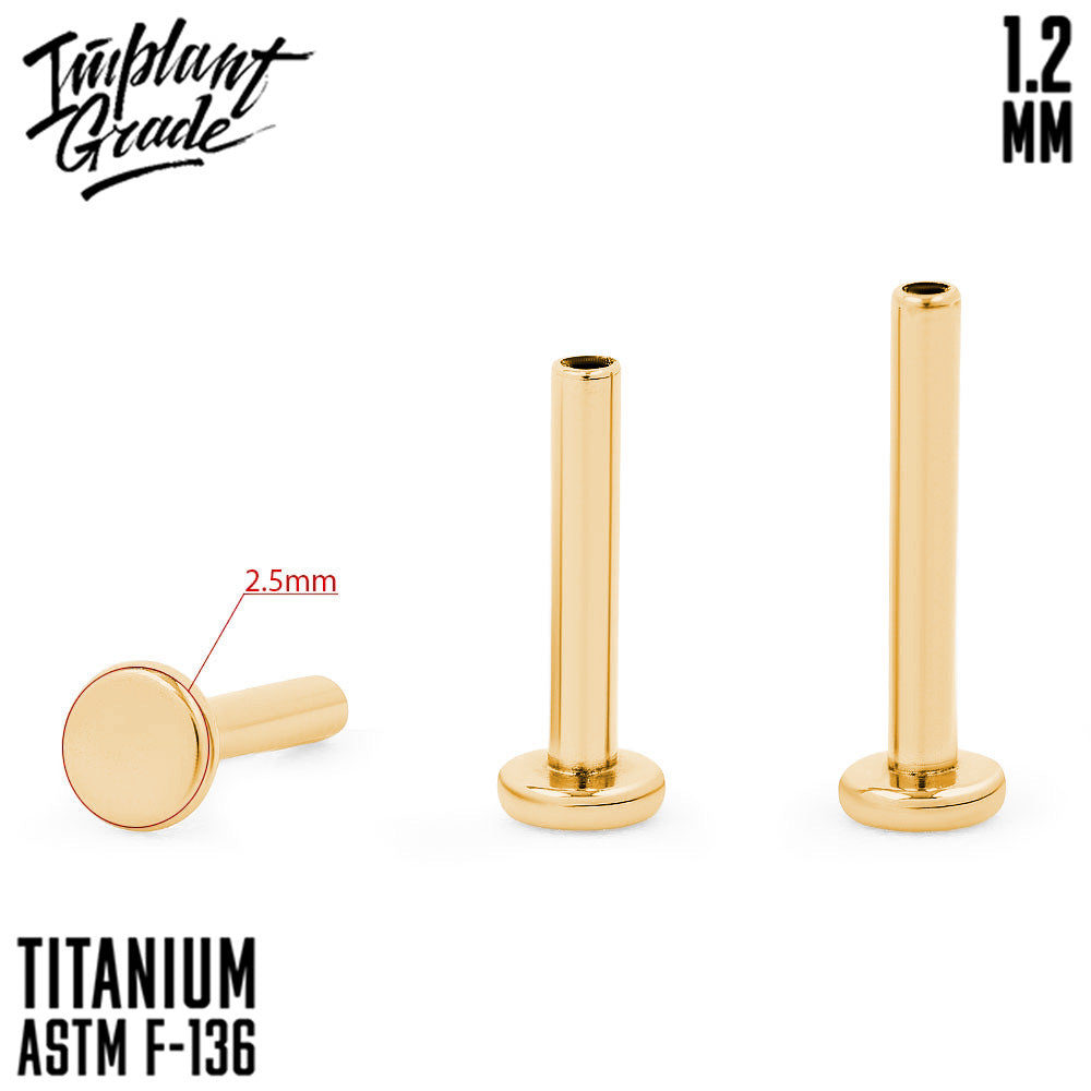 Labret post Gold MINI 1.2 (16 G) base 2.5 mm