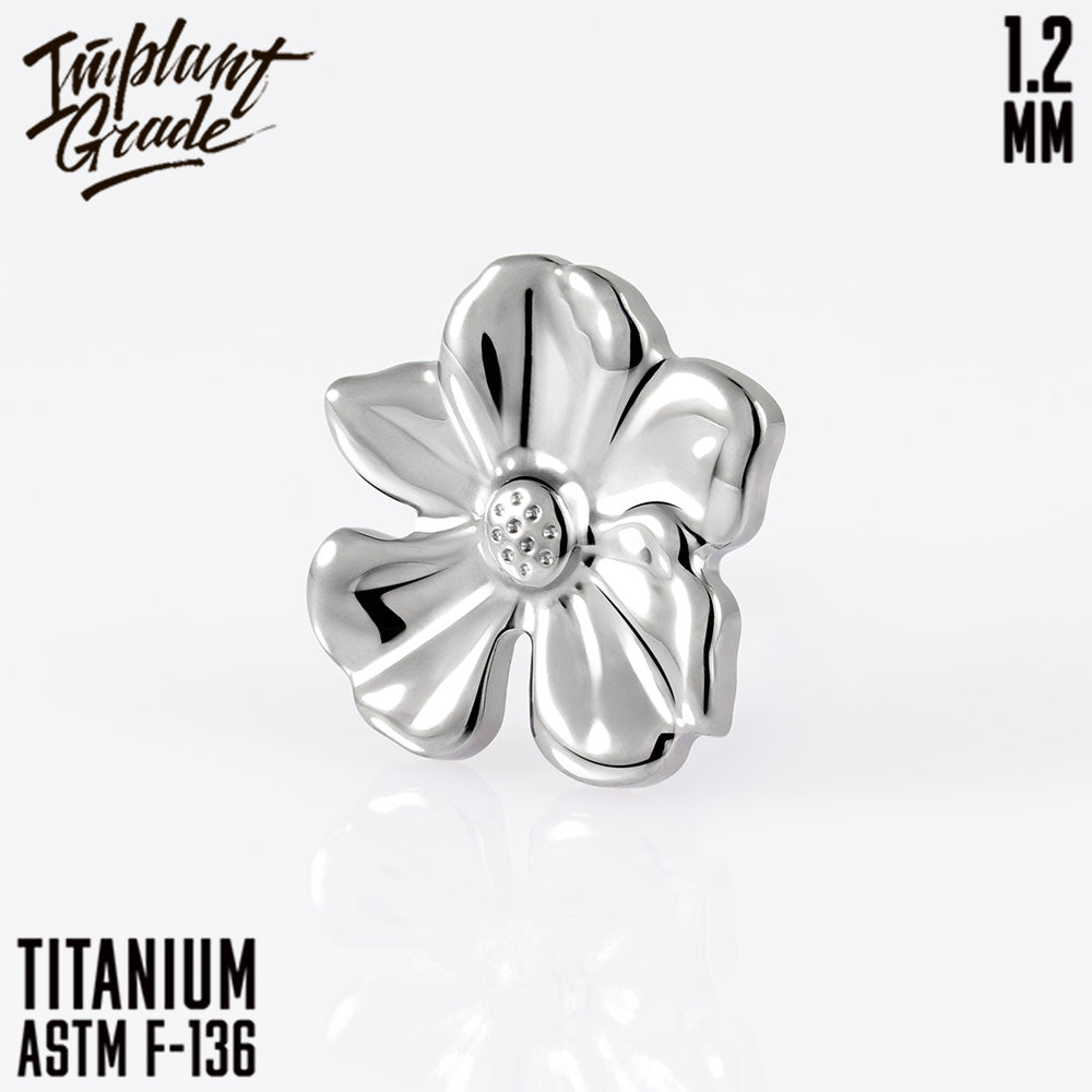 Bauhinia top 1.2