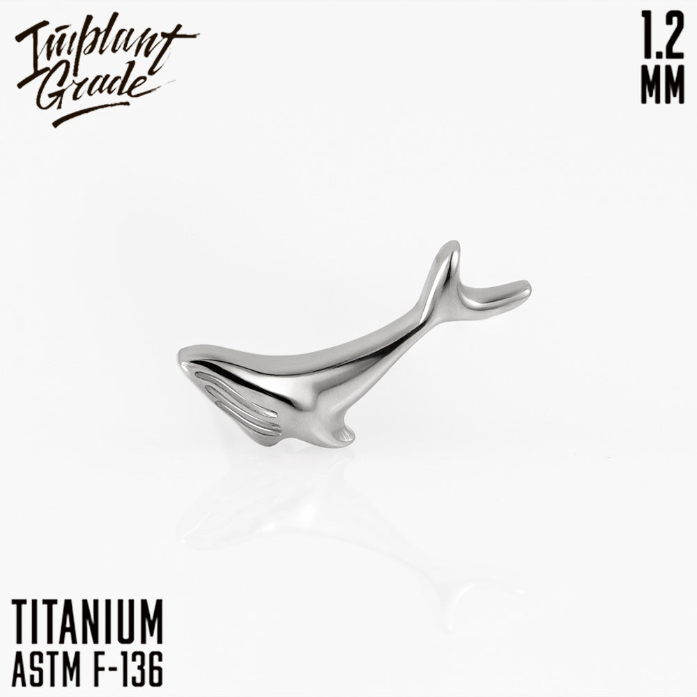 Whale top 1.2