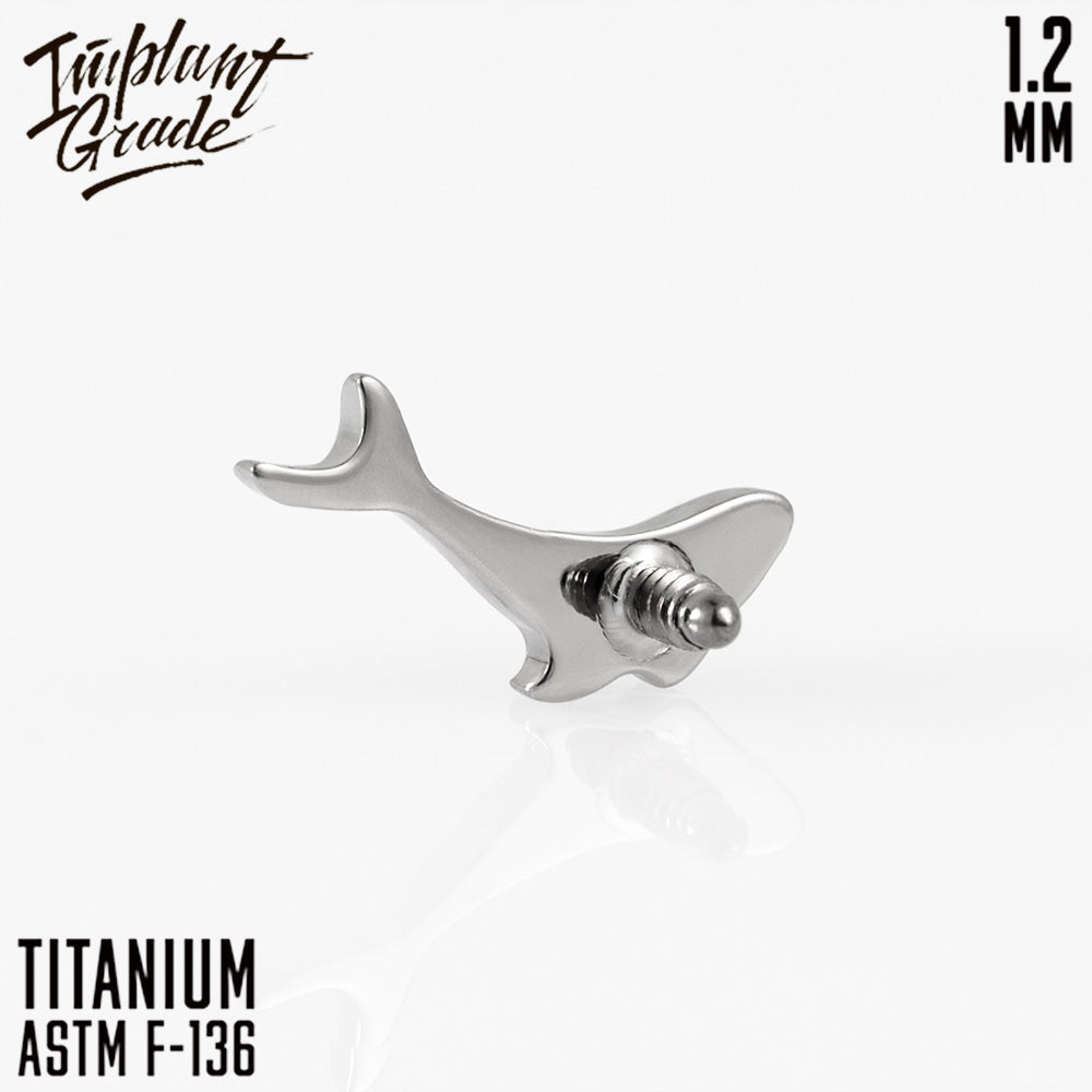 Whale top 1.2
