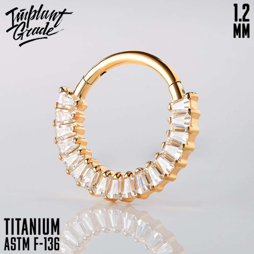 Zoe Hinged Segment Ring 1.2 (16 G)