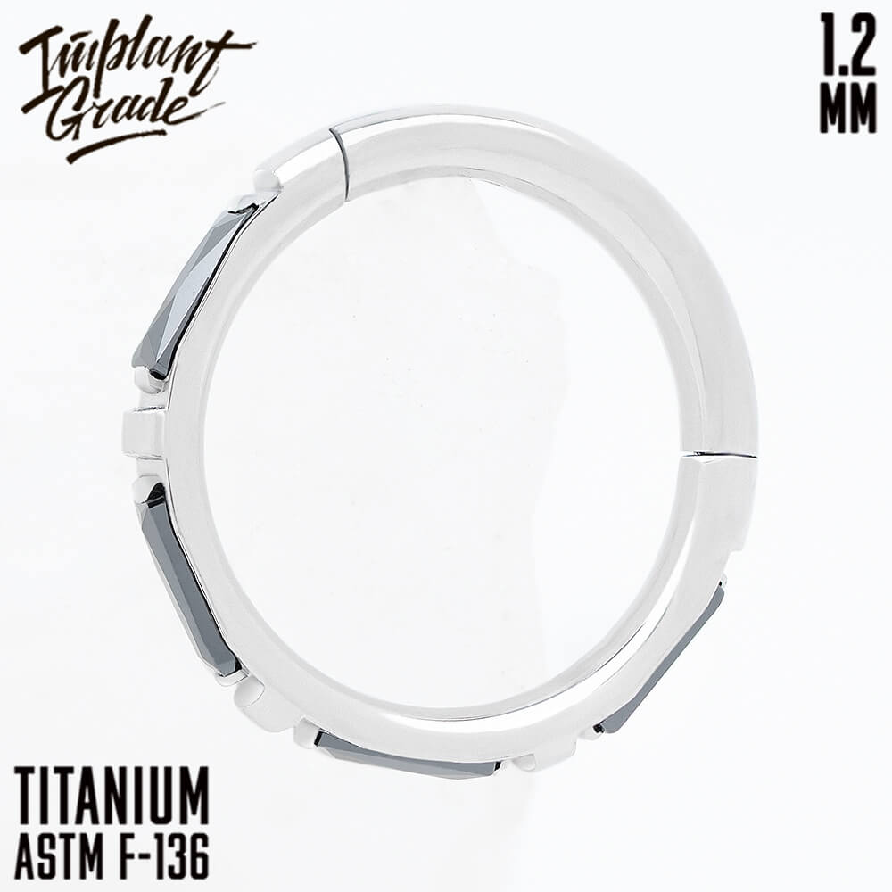 Eveline Black Hinged Segment Ring 1.2 (16 G)