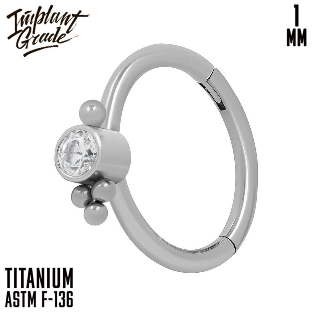 Sparkle Hinged Segment Ring 1 (18 G)