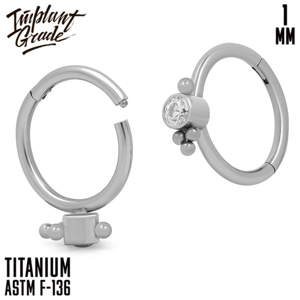 Sparkle Hinged Segment Ring 1 (18 G)