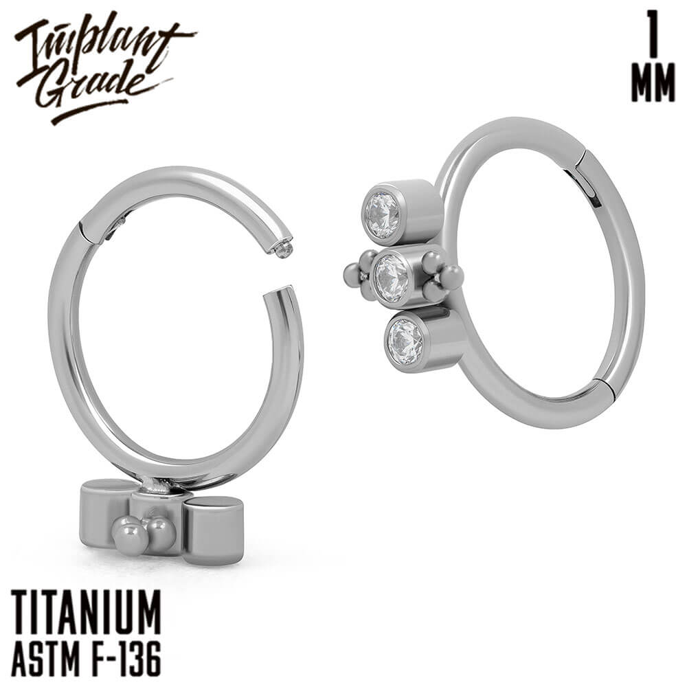 Billie Hinged Segment Ring 1 (18 G)