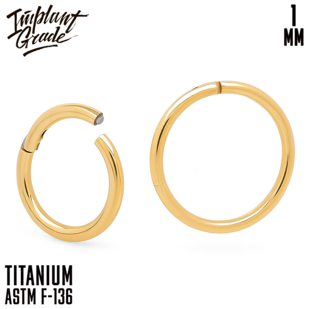 Gold Hinged Segment Ring 1 (18 G)