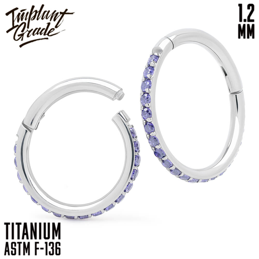 Twilight Amethyst Hinged Segment Ring 1.2 (16 G)