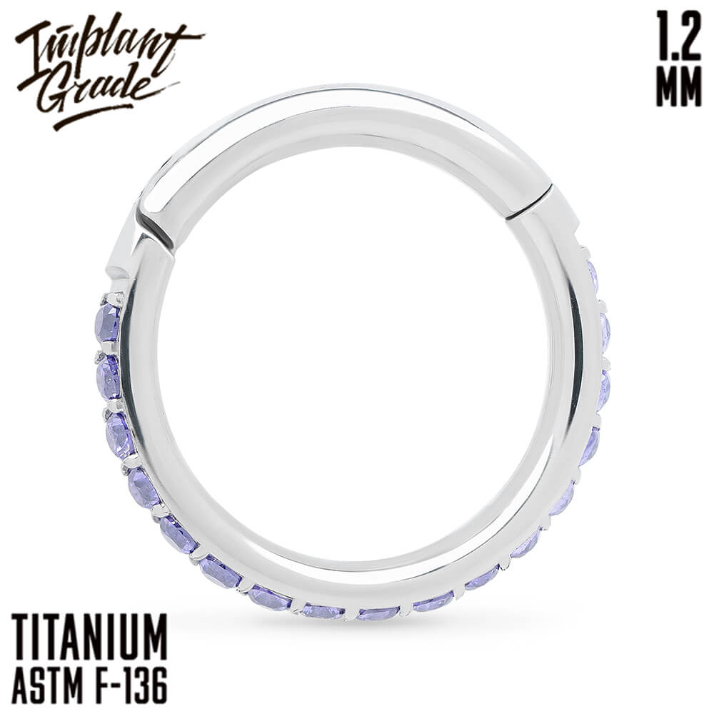 Twilight Amethyst Hinged Segment Ring 1.2 (16 G)