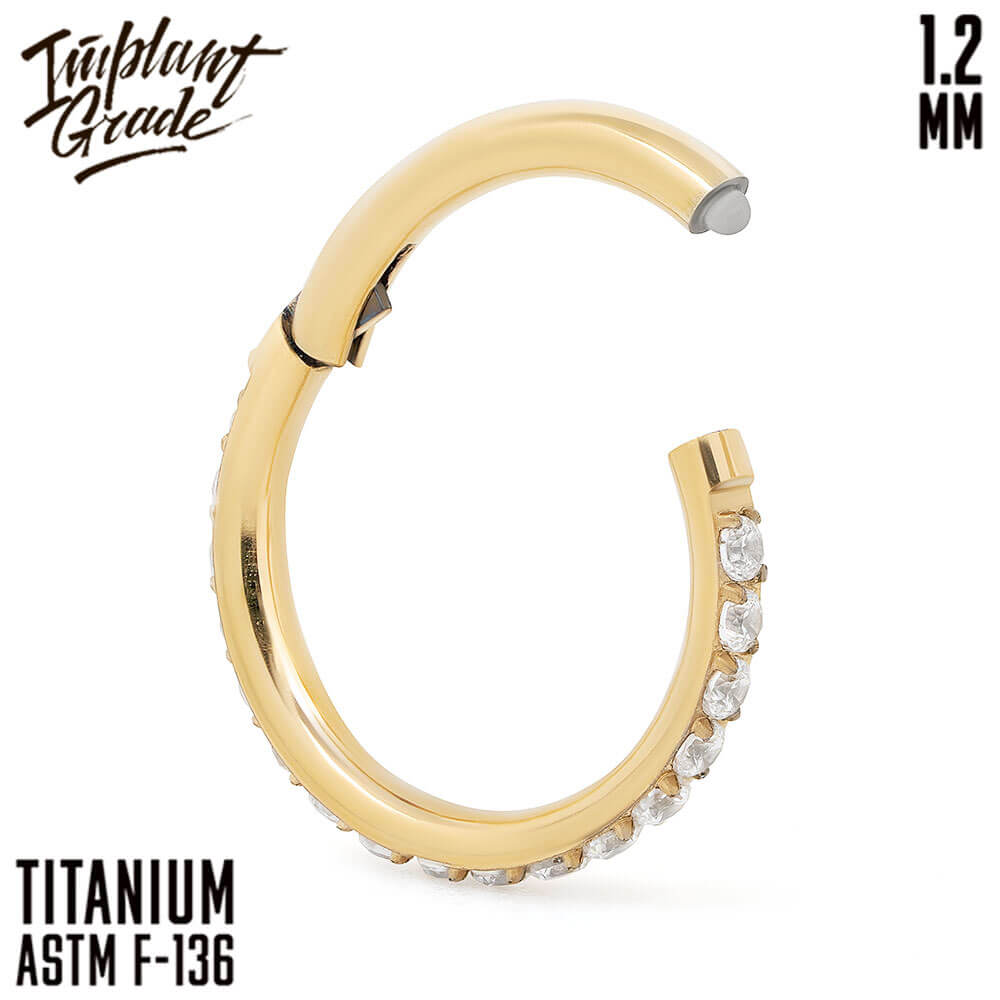 Twilight Gold Hinged Segment Ring 1.2 (16 G)