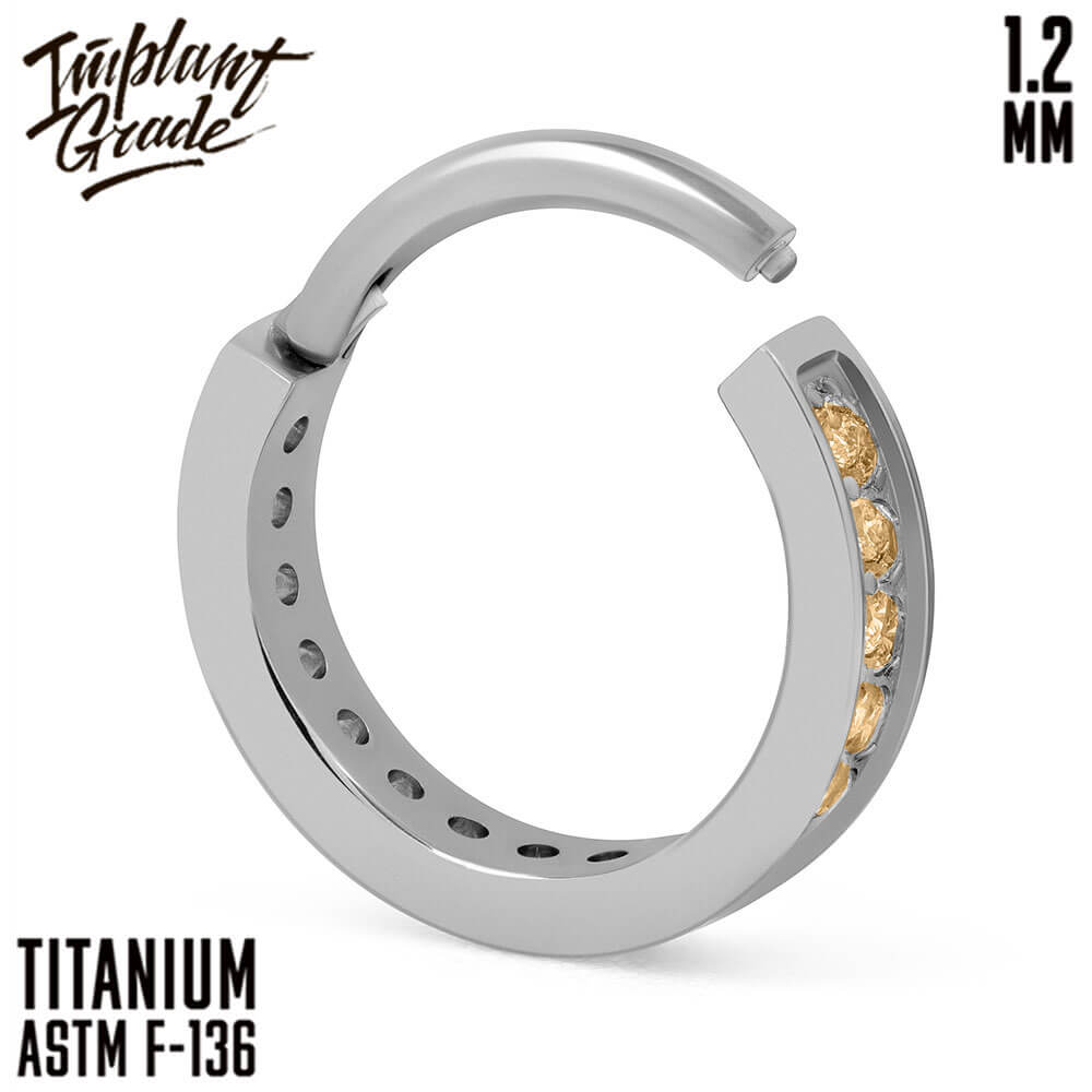 Luxe Champagne Hinged Segment Ring 1.2 (16 G)