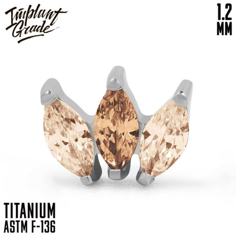 Marquise Coffee vol. 2 Cluster 1.2