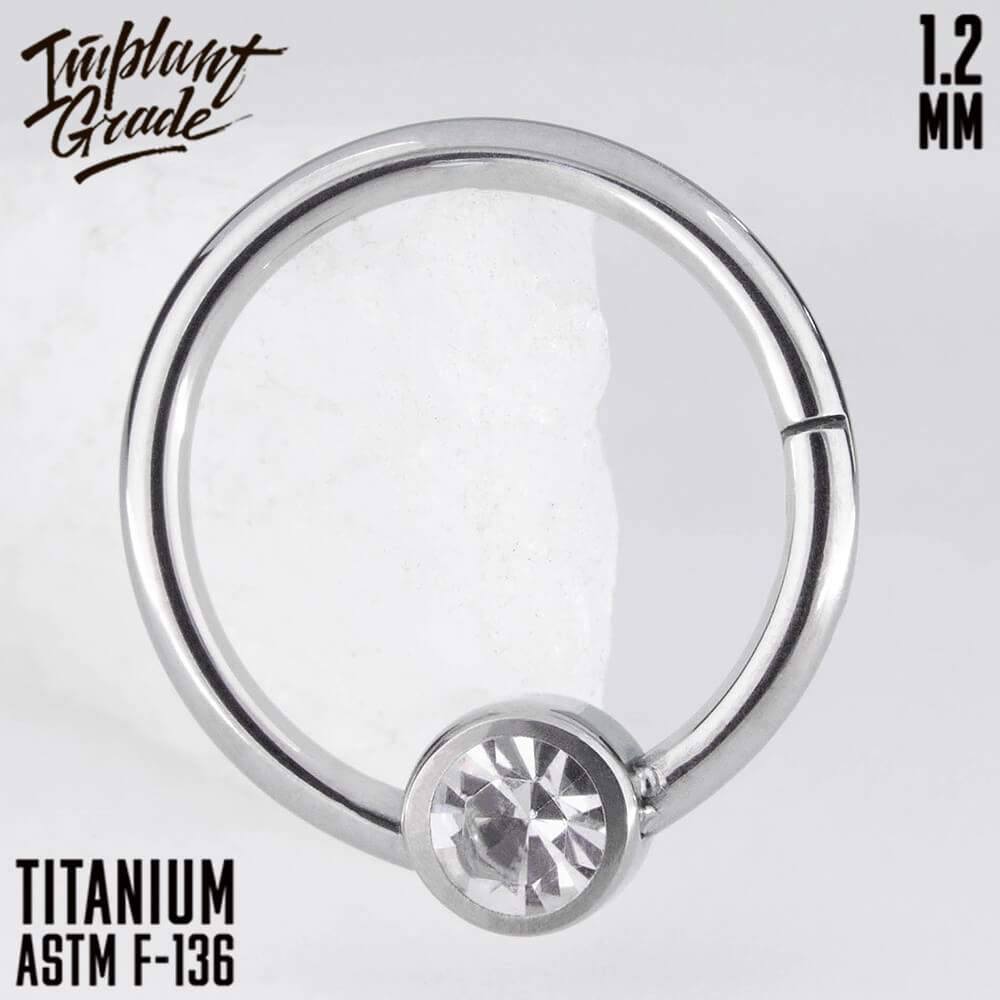 Shine Hinged Segment Ring 1.2 (16 G)