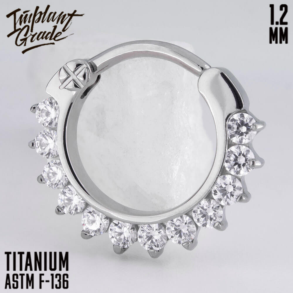 Glory Hinged Segment Ring 1.2 (16 G)