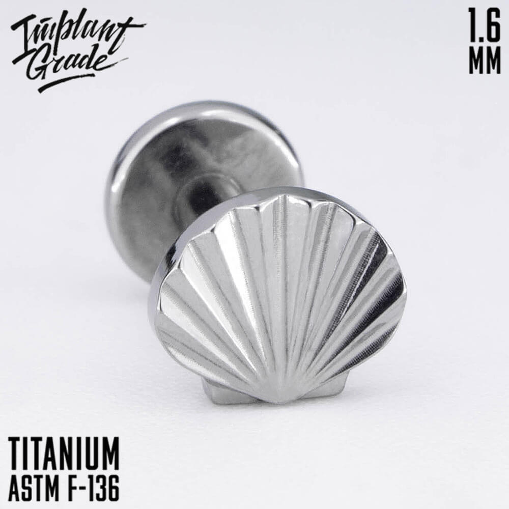Shell top 1.6