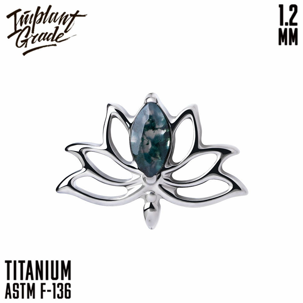 Lotus flower top 1.2