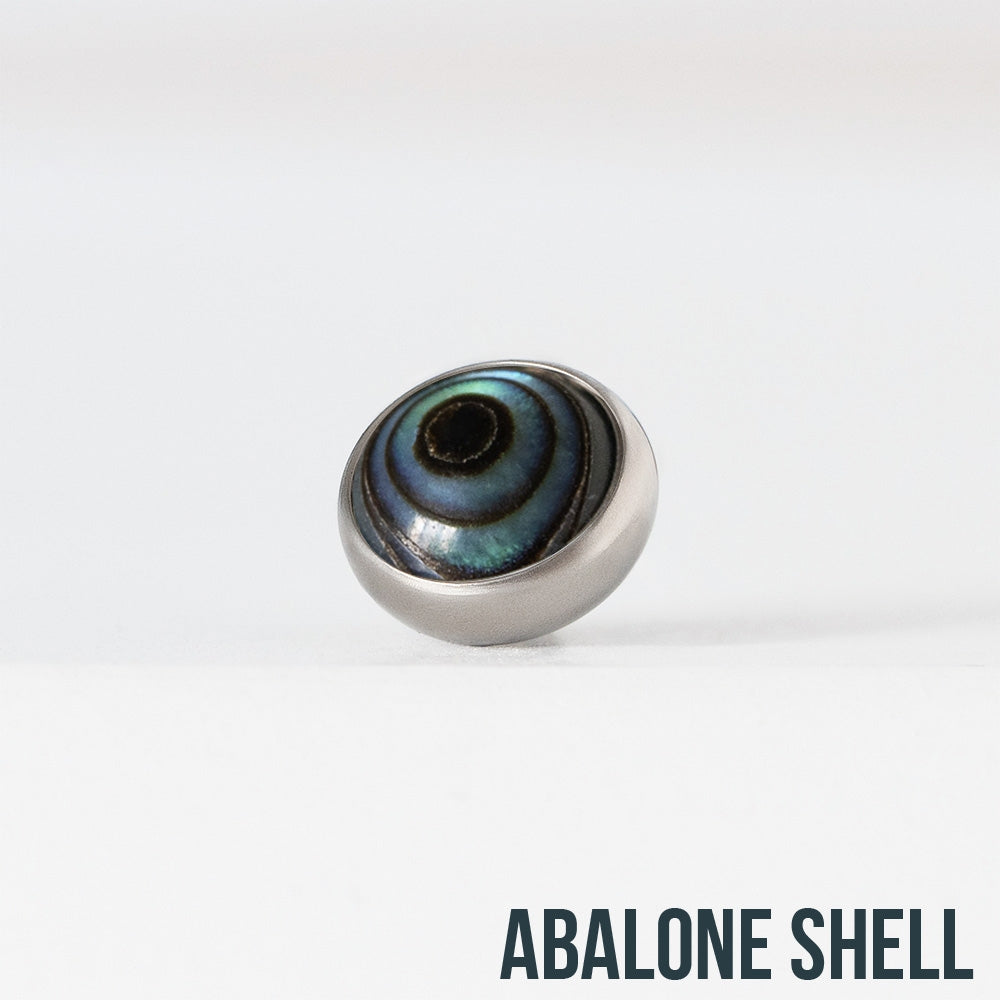 Abalone shell top 1.6