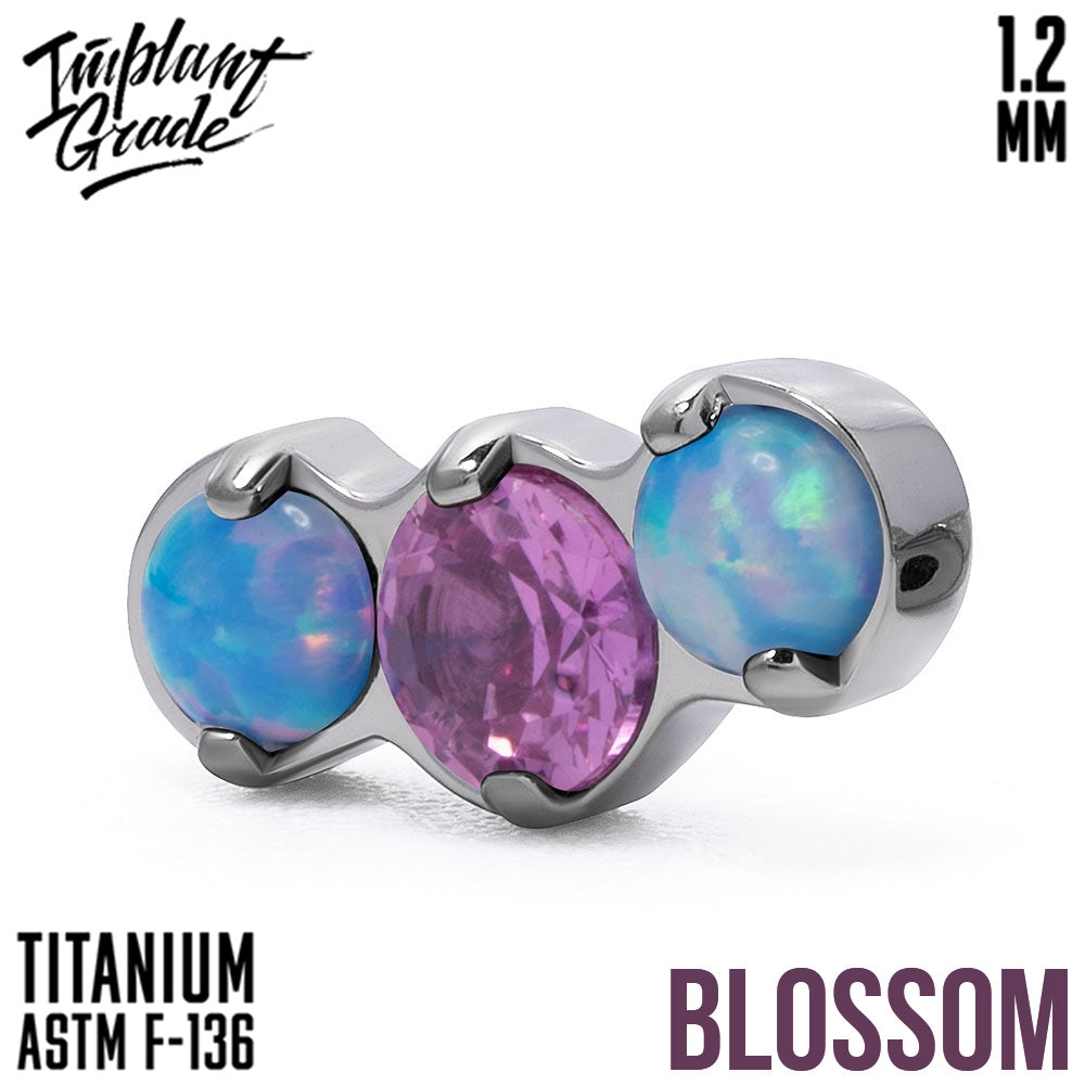 3 Stones Cluster 1.2 vol. 3