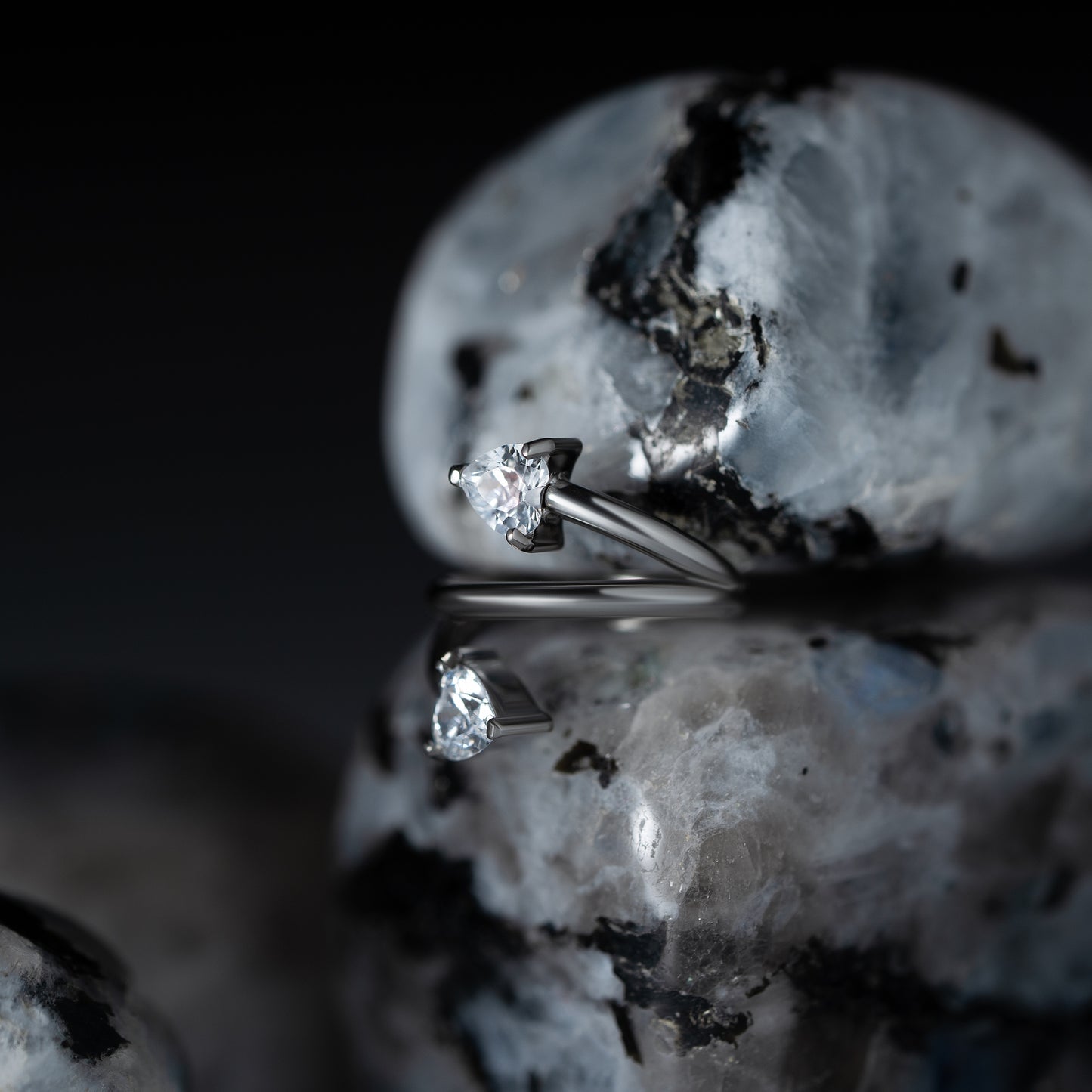 Twist Hinged Segment Ring 1.2 (16 G)
