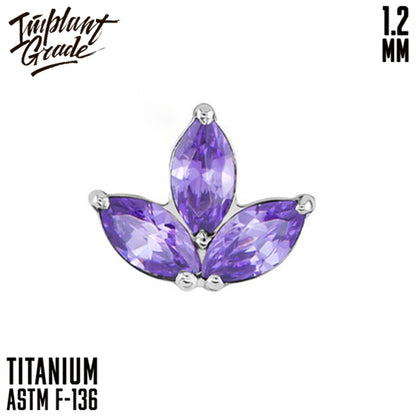 Trefoil top 1.2