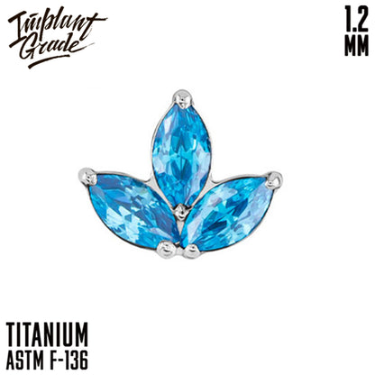 Trefoil top 1.2