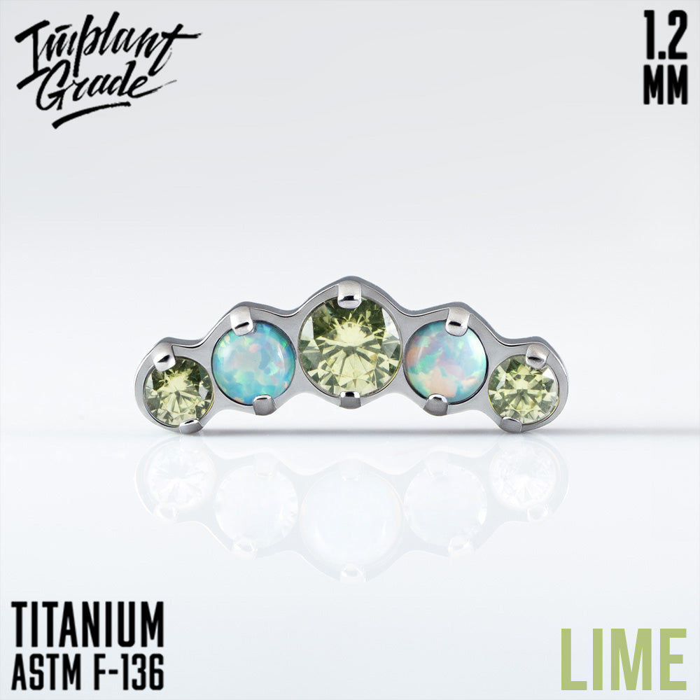 5 Stones Cluster 1.2 vol. 3