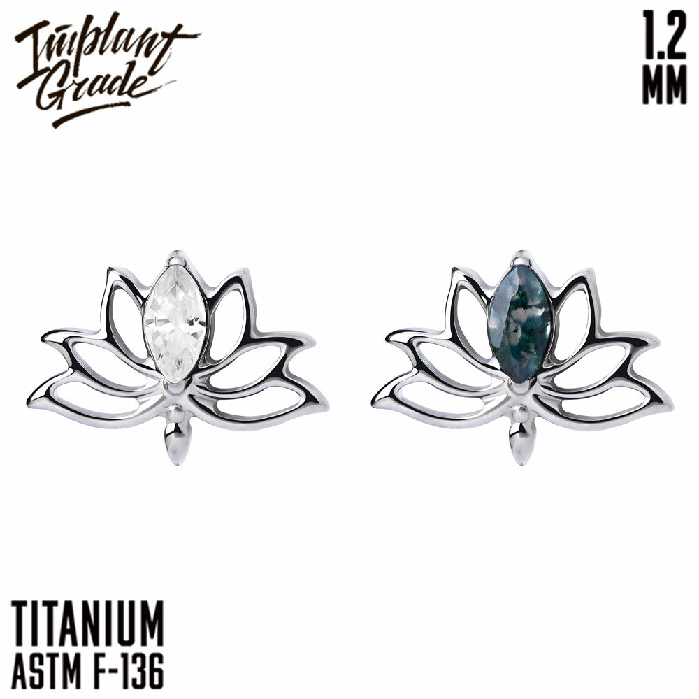 Lotus flower top 1.2