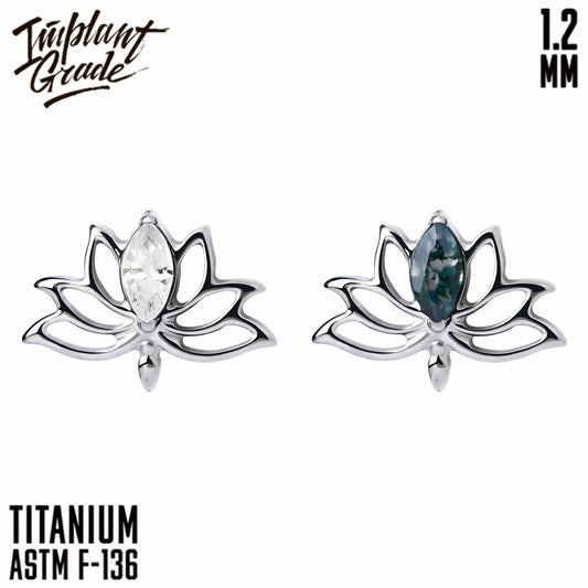 Lotus flower top 1.2
