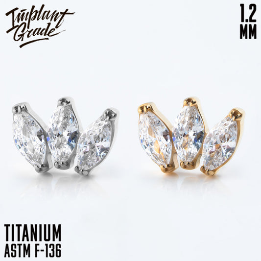Marquise vol. 2 Cluster 1.2