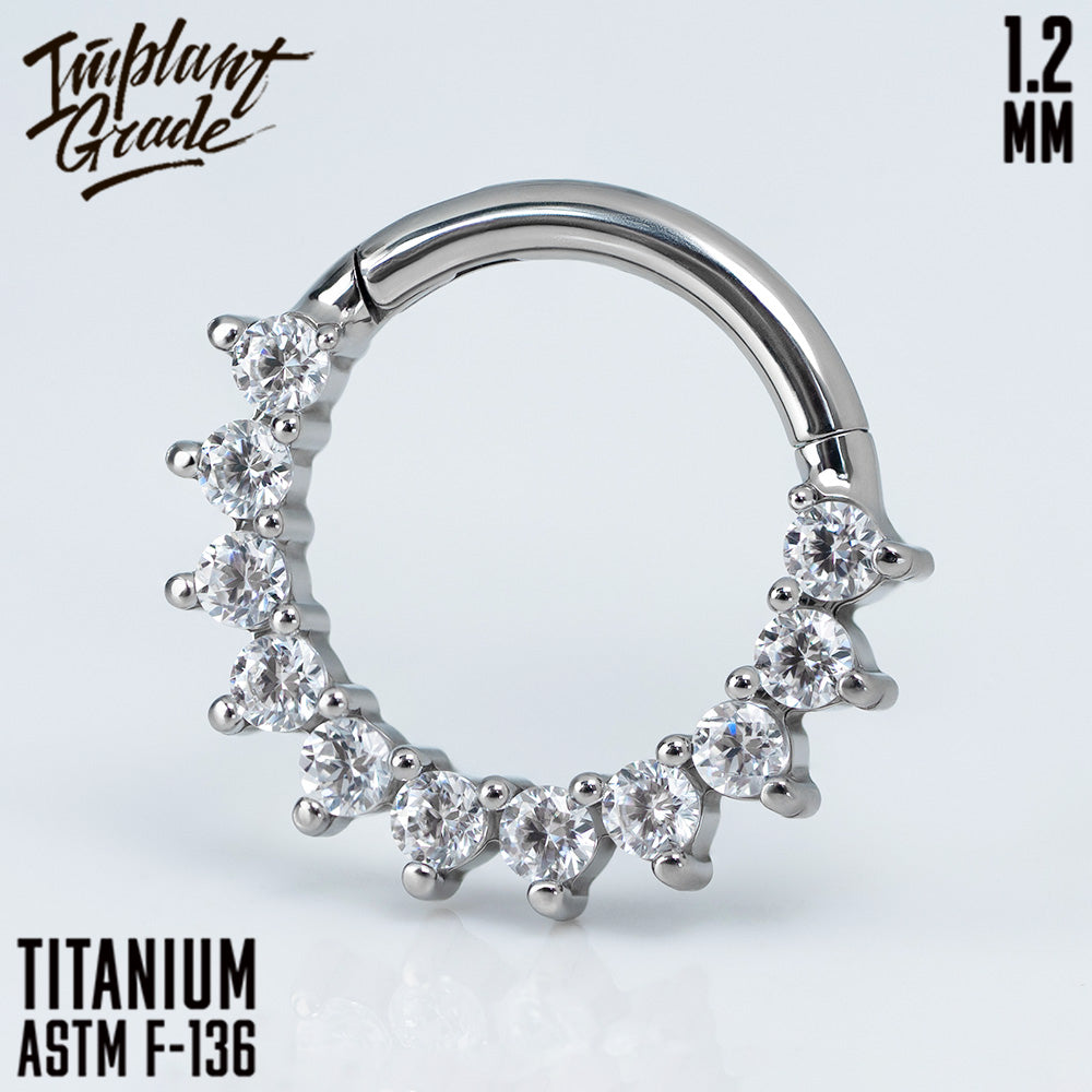 Glory Hinged Segment Ring 1.2 (16 G)