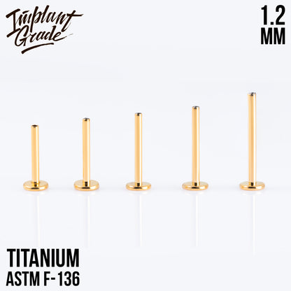 Gold labret post 1.2 (16 G) base 4 mm