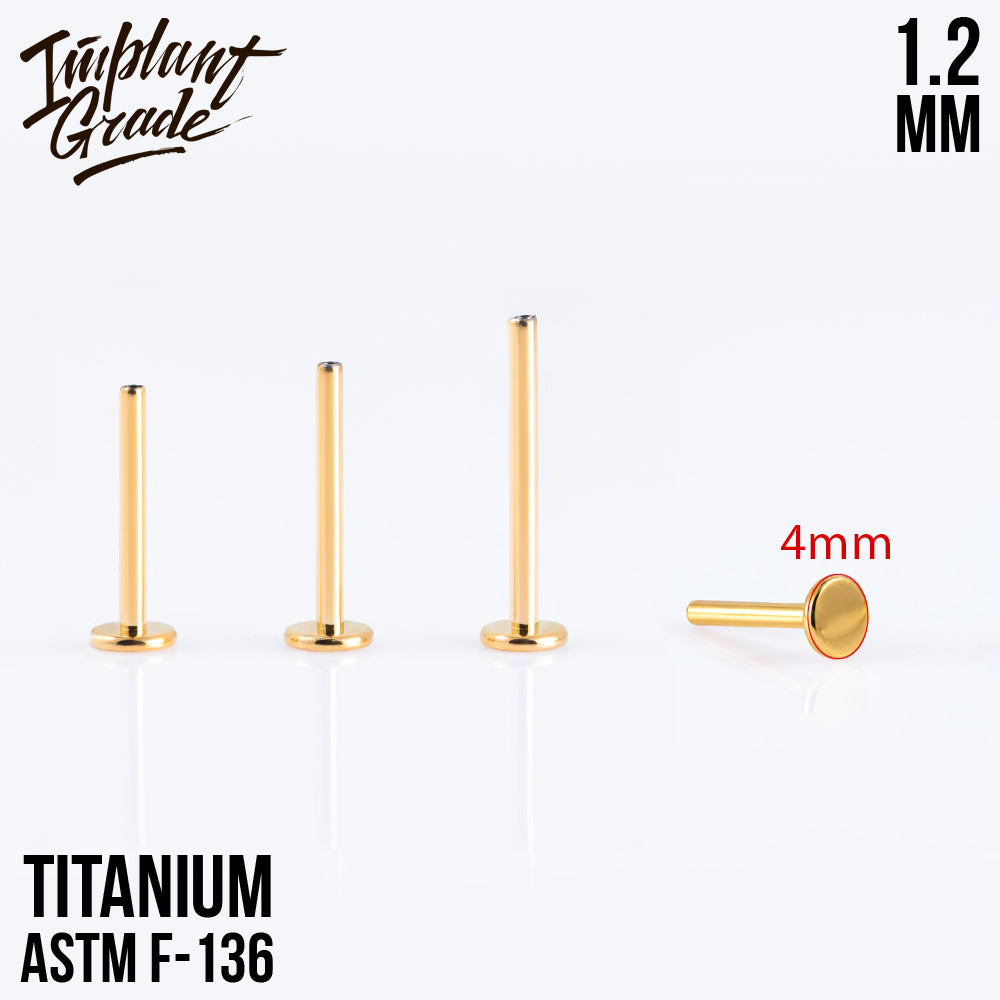 Gold labret post 1.2 (16 G) base 4 mm
