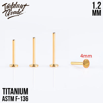 Gold labret post 1.2 (16 G) base 4 mm