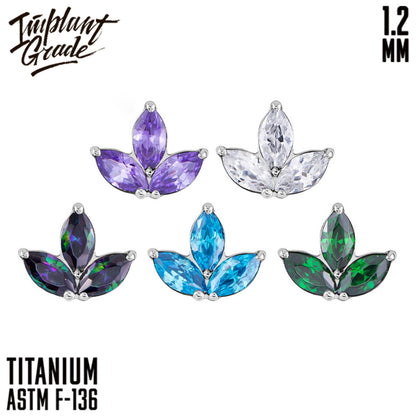 Trefoil top 1.2
