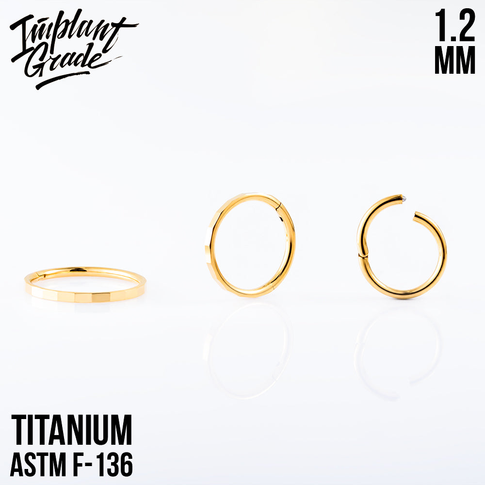 Chop Hinged Segment Ring 1.2 (16 G)