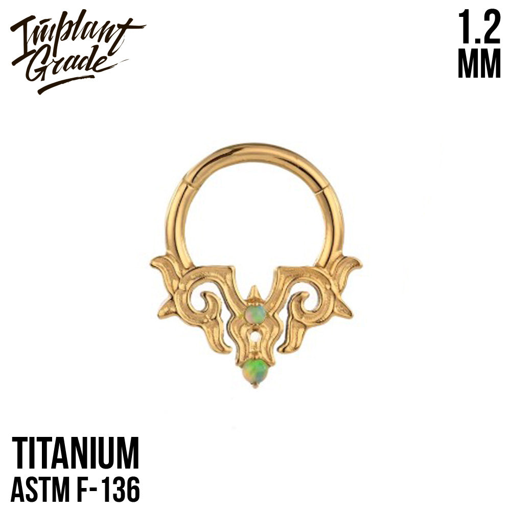 Eclectic Hinged Segment Ring 1.2 (16 G)