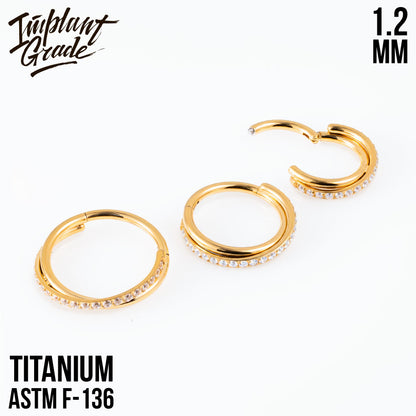 Chloe Hinged Segment Ring 1.2 (16 G)