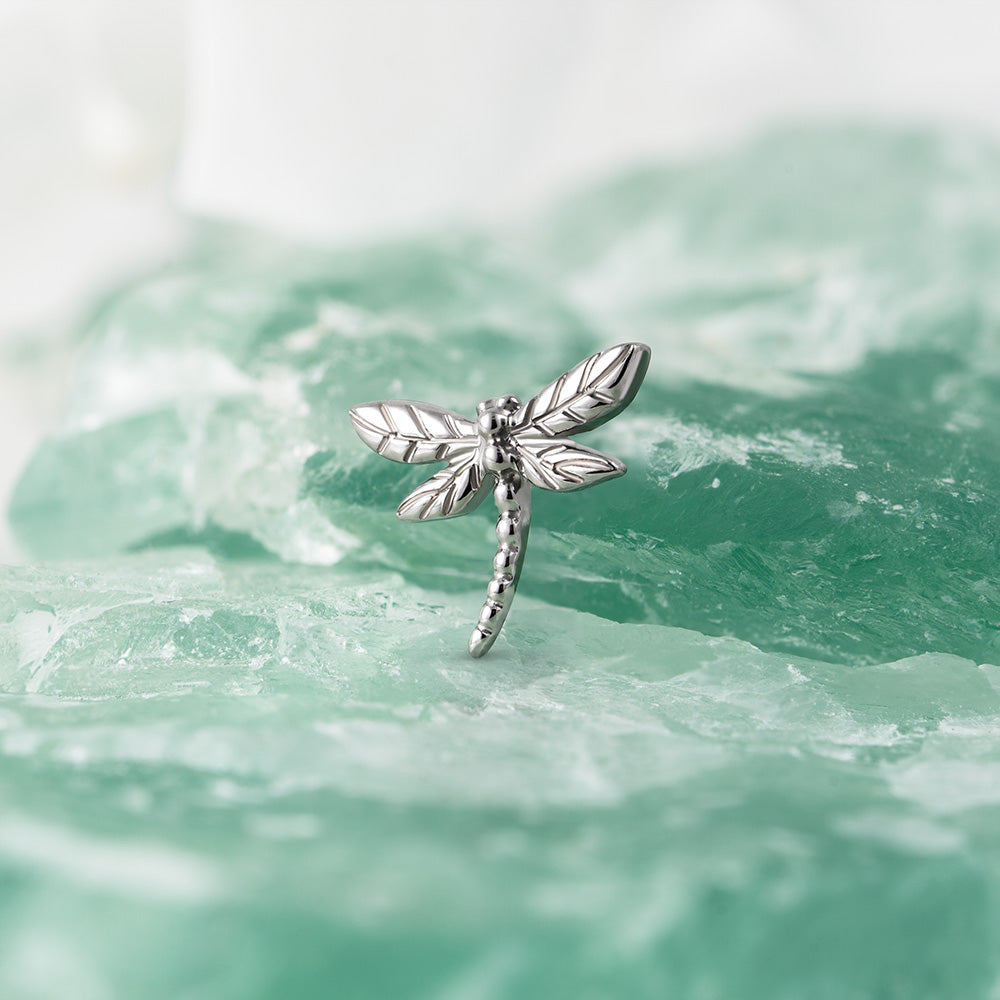 Dragonfly top 1.2