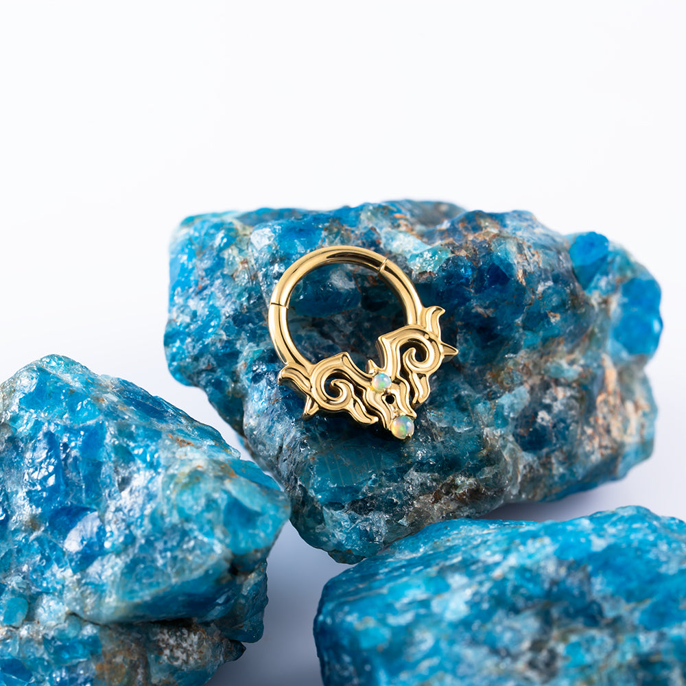 Eclectic Hinged Segment Ring 1.2 (16 G)