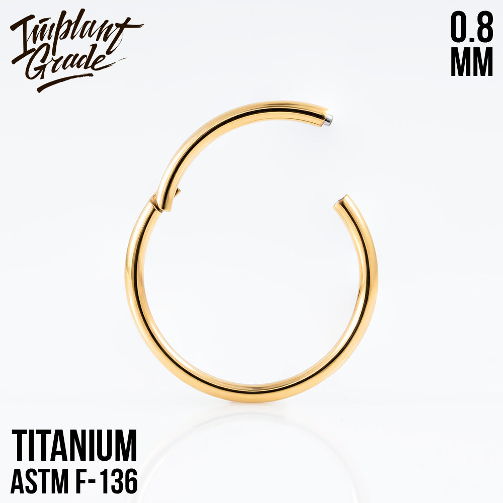 Gold Hinged Segment Ring 0.8 (20 G)