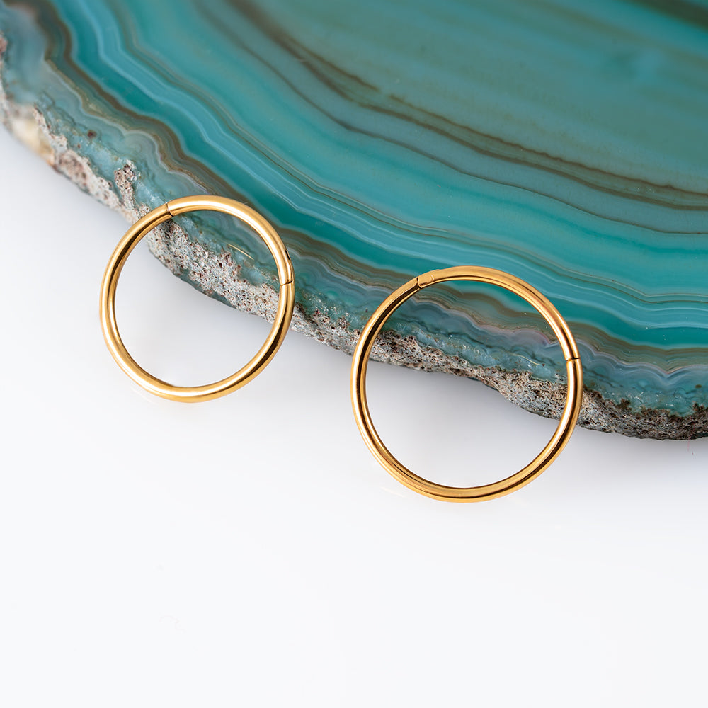 Gold Hinged Segment Ring 0.8 (20 G)