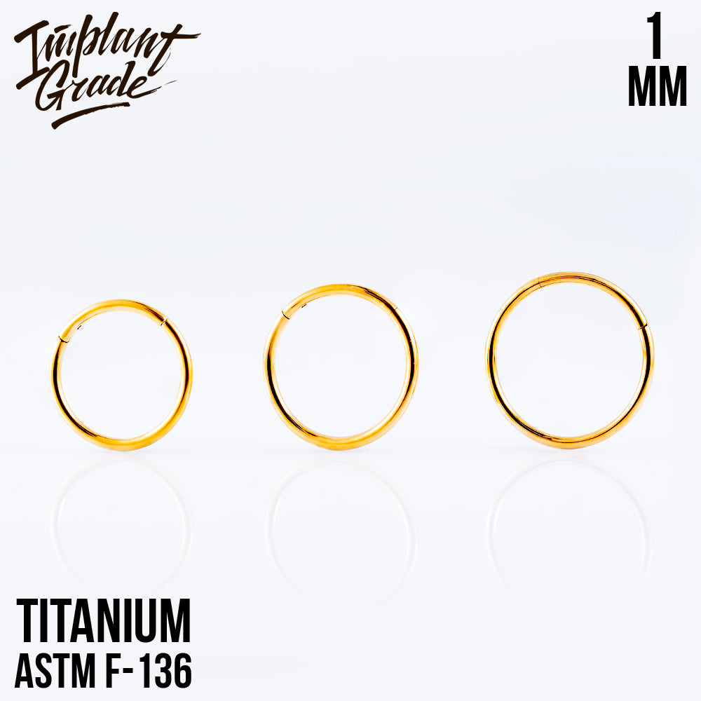 Gold Hinged Segment Ring 1 (18 G)